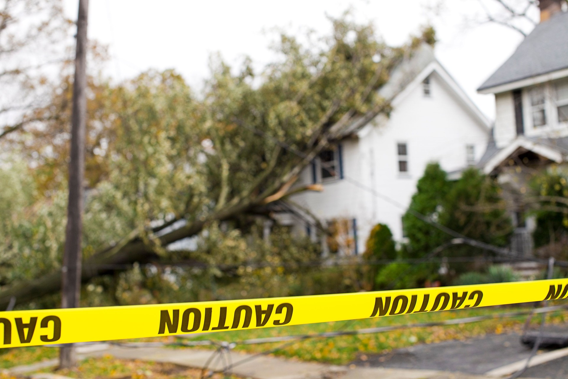 Caution tape warning of downed tree